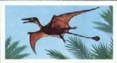 Prehistoric Animals 1972