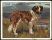 Dogs 1st Series 1914