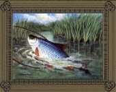 The Art of Angling 1st Series 1997