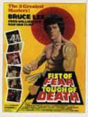 Bruce Lee Film Posters 2005