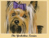 Dogs The Yorkshire Terrier 2005