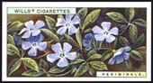 Wild Flowers 1923 (C.C.S. reprint 1999)