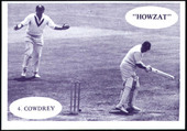 Cricketers 3rd Series 1985 (action pictures)