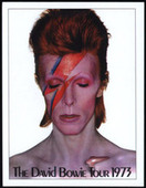 David Bowie Concert Posters 2010